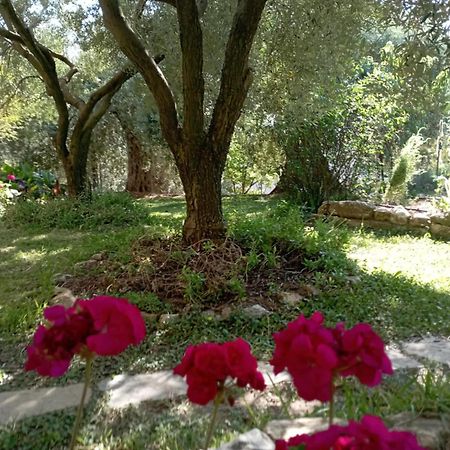 Villa Relax Σκάλα Καλλιράχης Εξωτερικό φωτογραφία