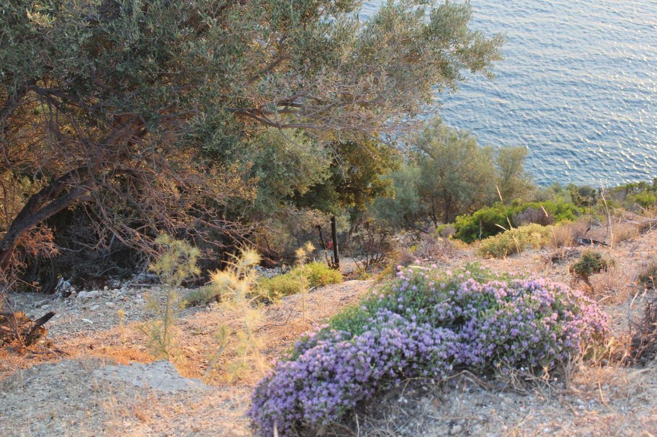 Villa Relax Σκάλα Καλλιράχης Εξωτερικό φωτογραφία
