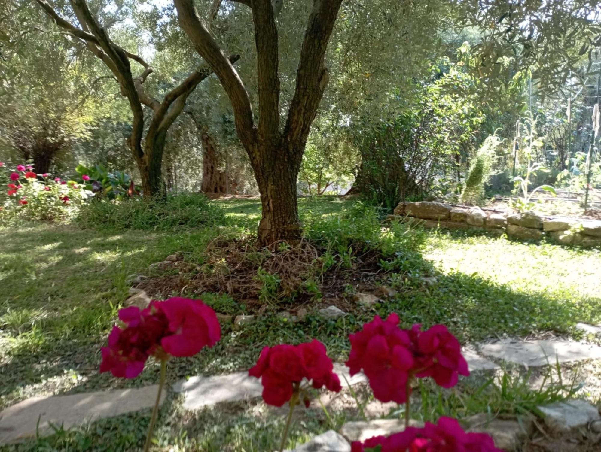 Villa Relax Σκάλα Καλλιράχης Εξωτερικό φωτογραφία