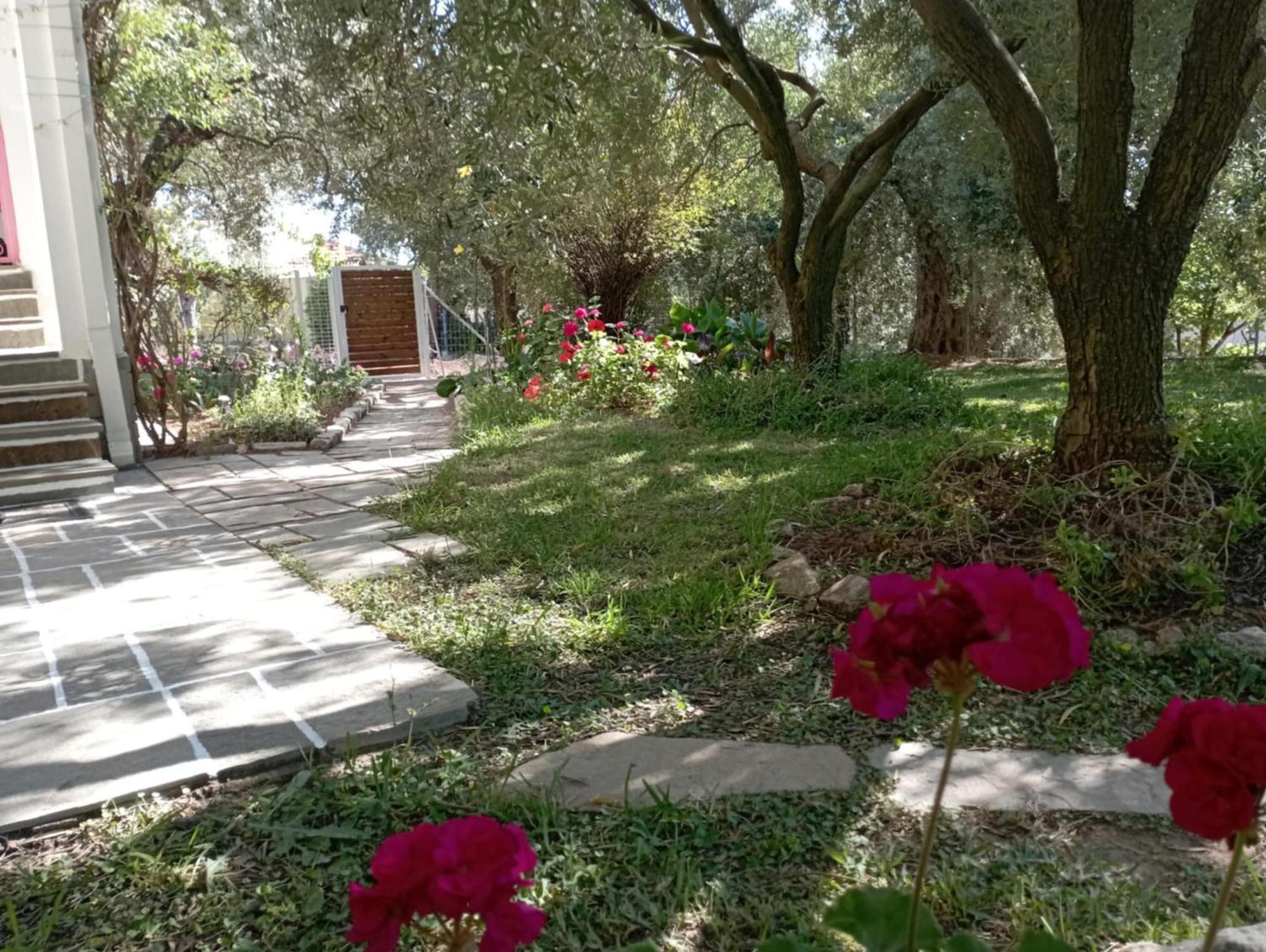 Villa Relax Σκάλα Καλλιράχης Εξωτερικό φωτογραφία